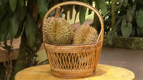 Durio Stock-Footage 112508991