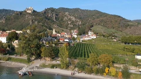 Durstein vineyard Vídeos de archivo 104936012