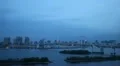 Dusk Aerial View of Cityscape with Famous Landmark Tokyo Tower Rainbow Bridge HD Footage