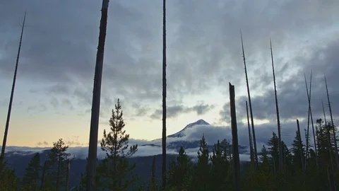 Dusk and clouds and snags on the east face of Mt. Hood mountain Stock Footage 81654272