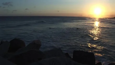 Dusk at the beach Stock Footage 315594001