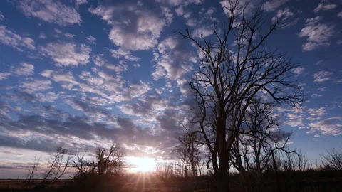 Dusk cloud timelapse of Camas National Wildlife Refuge Stock Footage 195046328