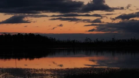 Dusk with clouds and the forest near the river in Siberia Video stock 280843760
