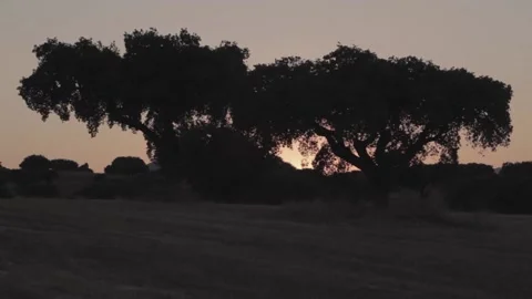 Dusk in the countryside 스톡 동영상 146456865