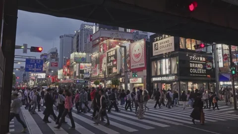 Dusk Crowd Crossing Busy Intersection in Ueno Ameyoko, Tokyo — Neon Lights at Stock Footage 336387816