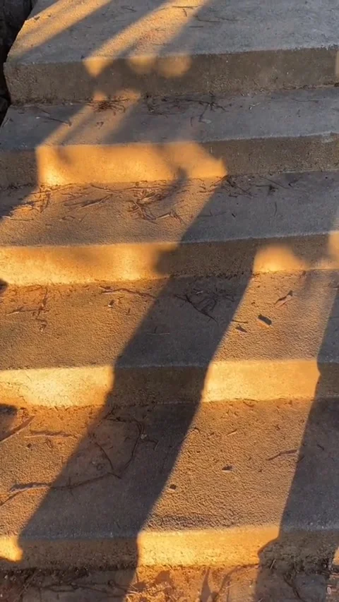 Dusk 库存影片 211414434