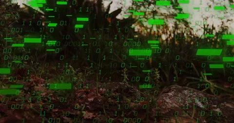 Dusk green binary numerals materializing on forest undergrowth and floating as Video stock 312758241