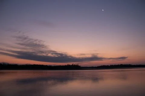 Dusk at mangroves Stock Photos