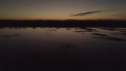  dusk the marshes of the Empordà Stock Footage 220785140