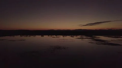  dusk the marshes of the Empordà Stock Footage 220785264
