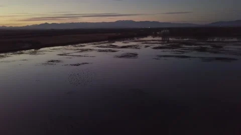  dusk the marshes of the Empordà Stock Footage 220785355