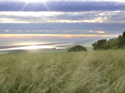 Dusk Meadow Stock Footage 489827