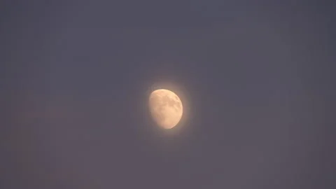 Dusk Moon Stock Footage 201162522