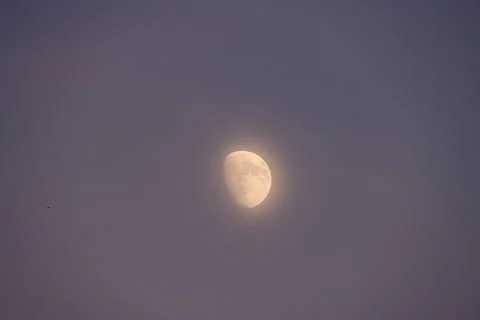 Dusk Moon Stock Footage 201164397