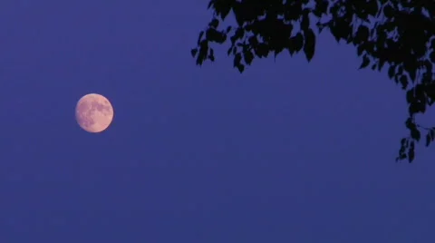 Dusk Moon HD Stock Footage 497110