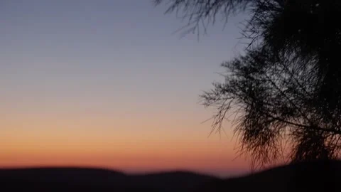 Dusk or dawn sky in desert with Mesquites tree blowing in the wind in foreground Stock Footage 311655461