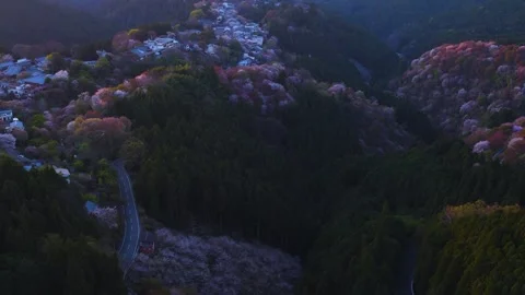 Dusk over Yoshino Spring Scene, Yoshino Sakura Mountain Aerial View Stock Footage 340195342