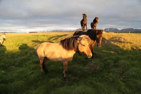 In the dusk 스톡 사진