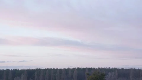Dusk Sky And Forest Stock Footage 151664759