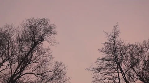 Dusk, sky 動画素材 43916008