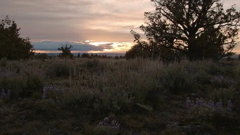 Dusk in spring at sunset great basin Steens Mountain Oregon 4 Stock Footage 81654434