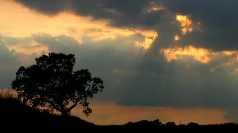 Dusk sun beams Stock Footage 22666576