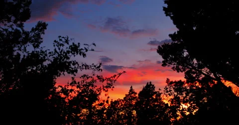 Dusk Sunset with Clouds and Trees Stock Footage 136200607