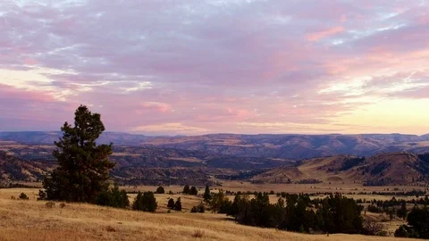 Dusk sunset of Juniper and old cattle ranch Stock Footage 81660421
