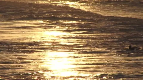 Dusk surfers Stock Footage 315593800