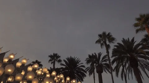 Dus￼￼k “Urban Light” L,A,C,M,A, Stock Footage 122401012