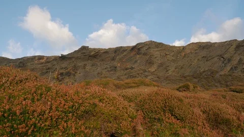 At dusk, view on the Coastal Path, Atlantic Heritage Coast, Cornwall Stock Footage 87046581