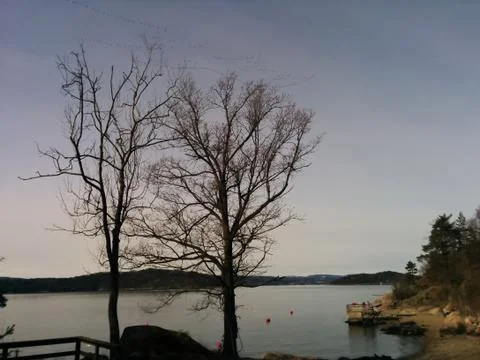 Dusk view of the ocean with big trees and the beach in front Stock Photos