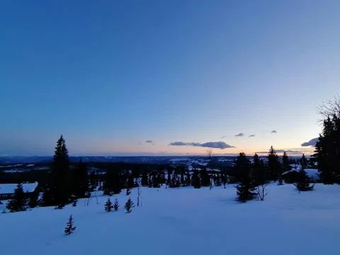 Dusk view over the winter mountain with trees and snow Stock Photos