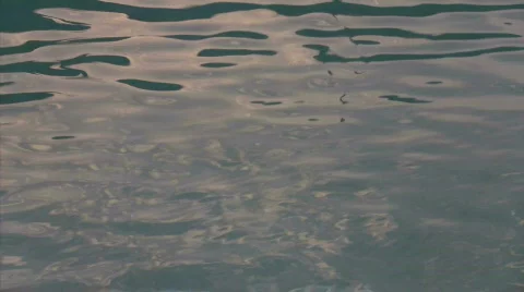 Dusk water surface Stockbeeldmateriaal 419264