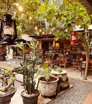 Dusk in The Yard 写真素材