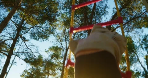 Dusk's Playful Climber Video stock 256100126