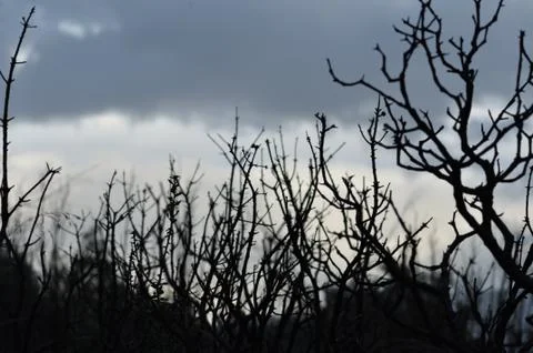 Duskscape Stock-Fotos