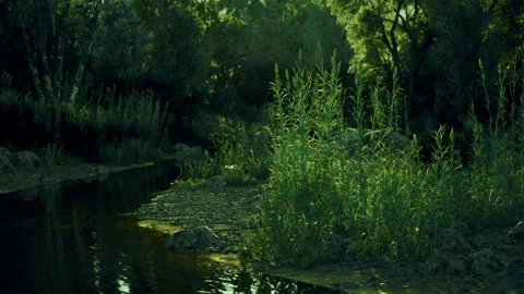 Dusktime stream meanders through thick wooded landscape with dramatic lighting Stock Footage 343617020