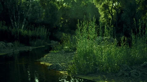 Dusktime stream meanders through thick wooded landscape with dramatic lighting Stock Footage 343617135