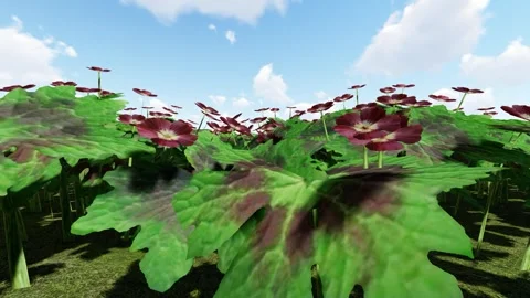 Dusky Cranesbell Flower Stock-Footage 341594882