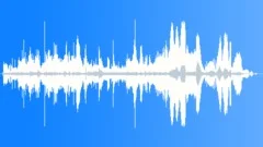 Dusky Dolphin Echolocation ClicksSound Effect