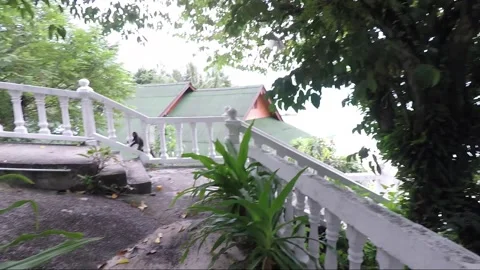 Dusky leaf monkey escapes from the camera on the terrace, Perhentian, Malaysia Stock Footage 156235855