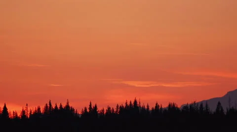 Dusky Sunset over Treeline with Jet Contrail Flyby Stock-Footage 23664226