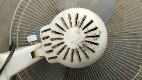 Dust that accumulates on the engine cover or fan dynamo Видео 306507243