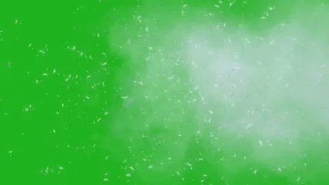 Dust and clouds motion graphics with green screen background Stock Footage 157594543
