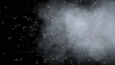 Dust and clouds motion graphics with night background Stock Footage 157855486