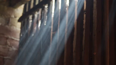 Dust and cobweb in rays of light 4K slowmo video Stock Footage 160983192