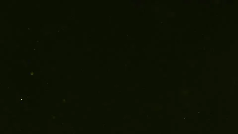 Dust and colored particles falling on bl... | Stock Video | Pond5