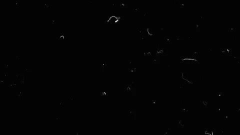 Dust and Scratches Video stock 75841077