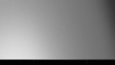 Dust And Scratches Loop Stock Footage 319252785